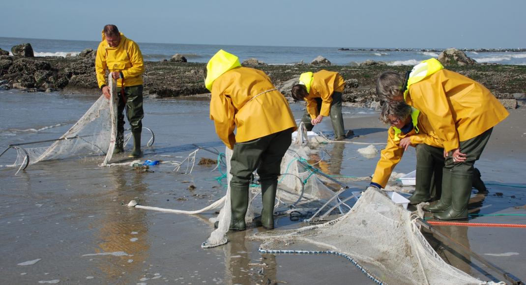 Seawatchers at work