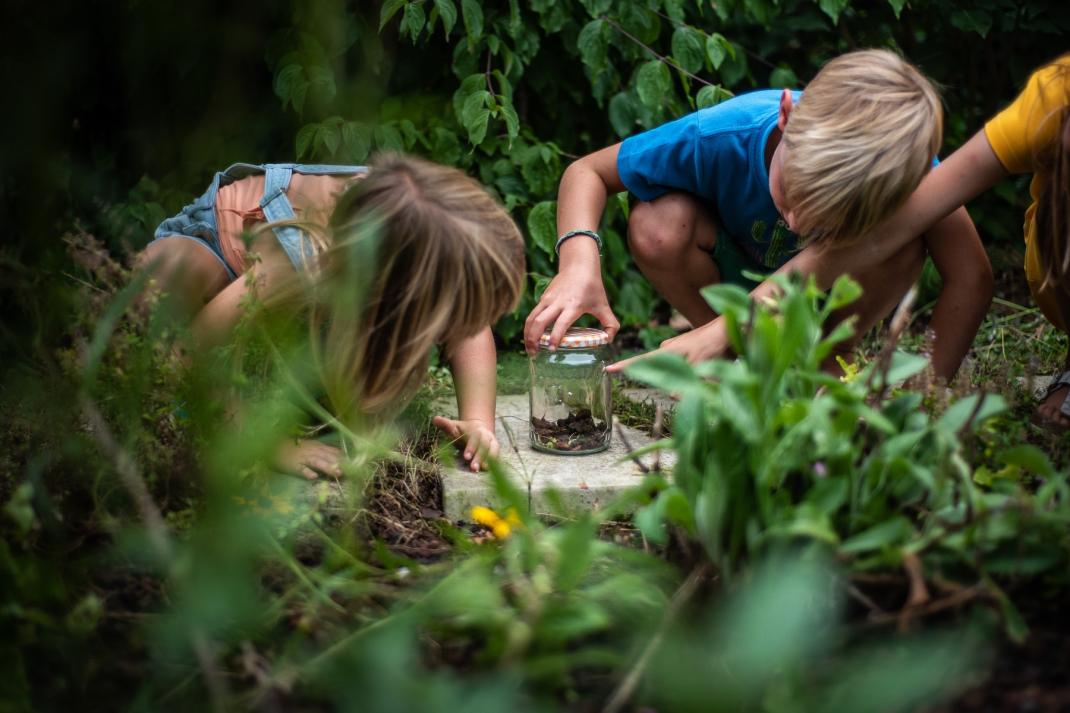 Twee kinderen bestuderen insecten in de tuin