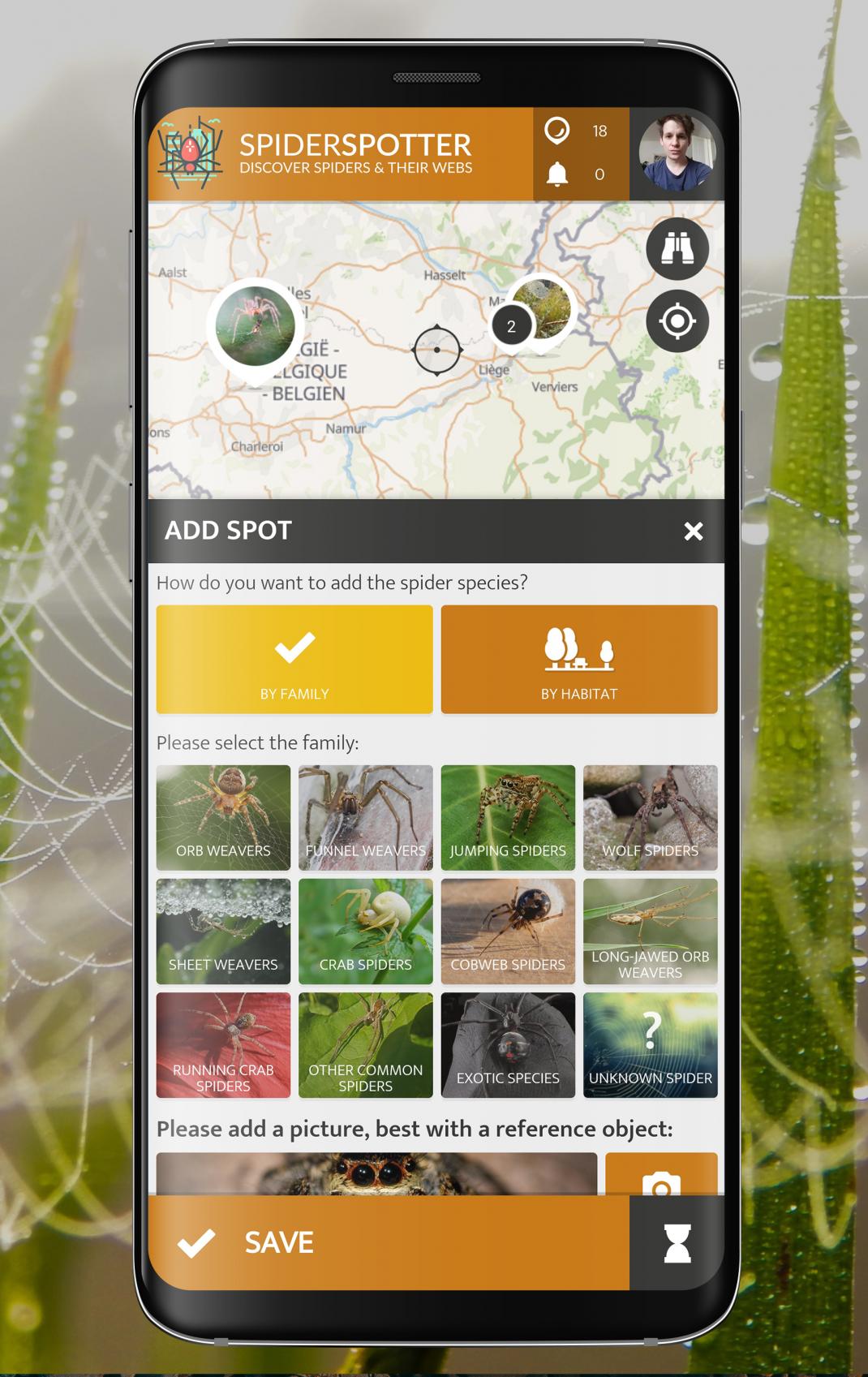 Spinnenspotter App