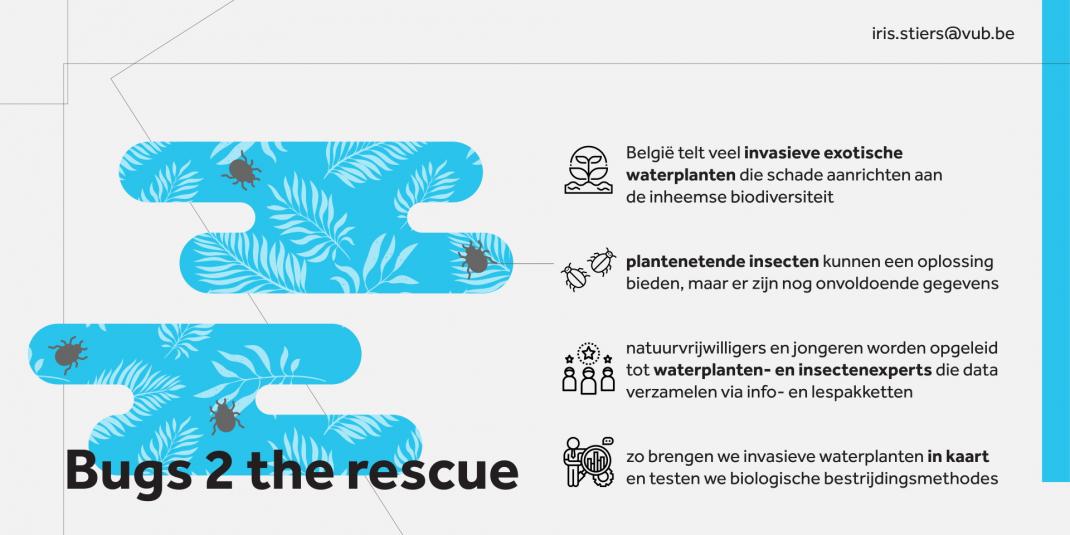 Bugs 2 the Rescue Infographic
