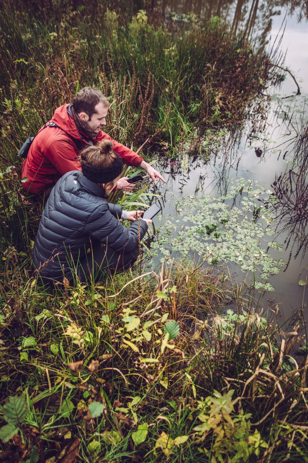 Personen fotograferen waterplanten met Obsidentify app