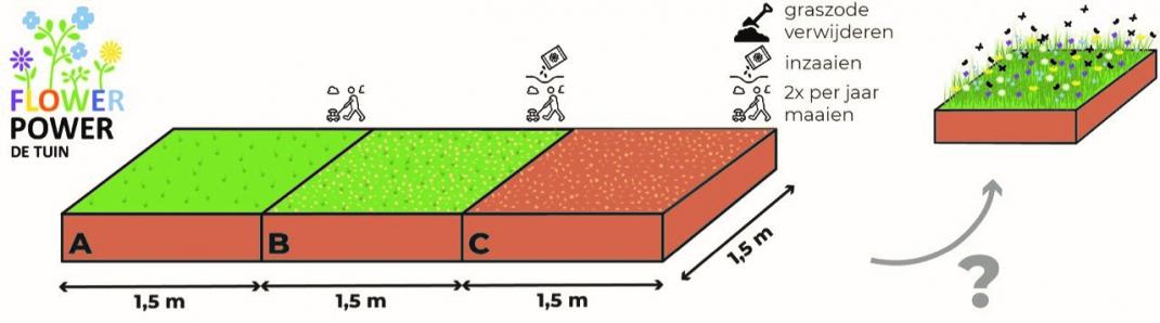 Flowerpower plot drawing