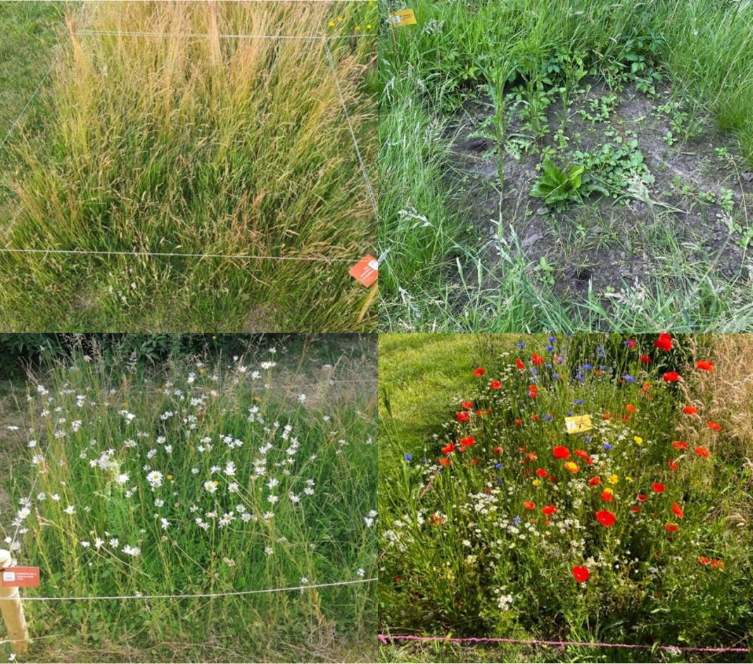 Four plots with different results