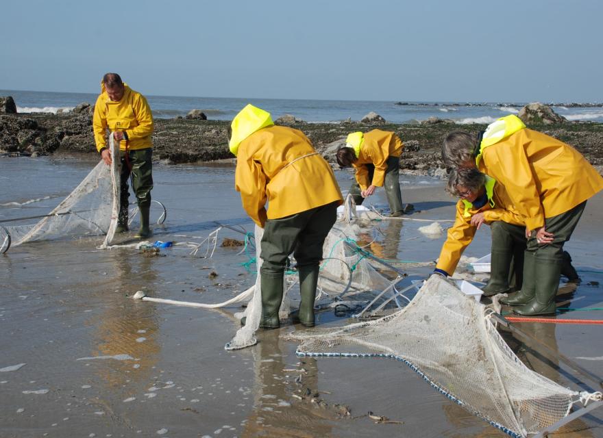 Seawatchers aan het werk
