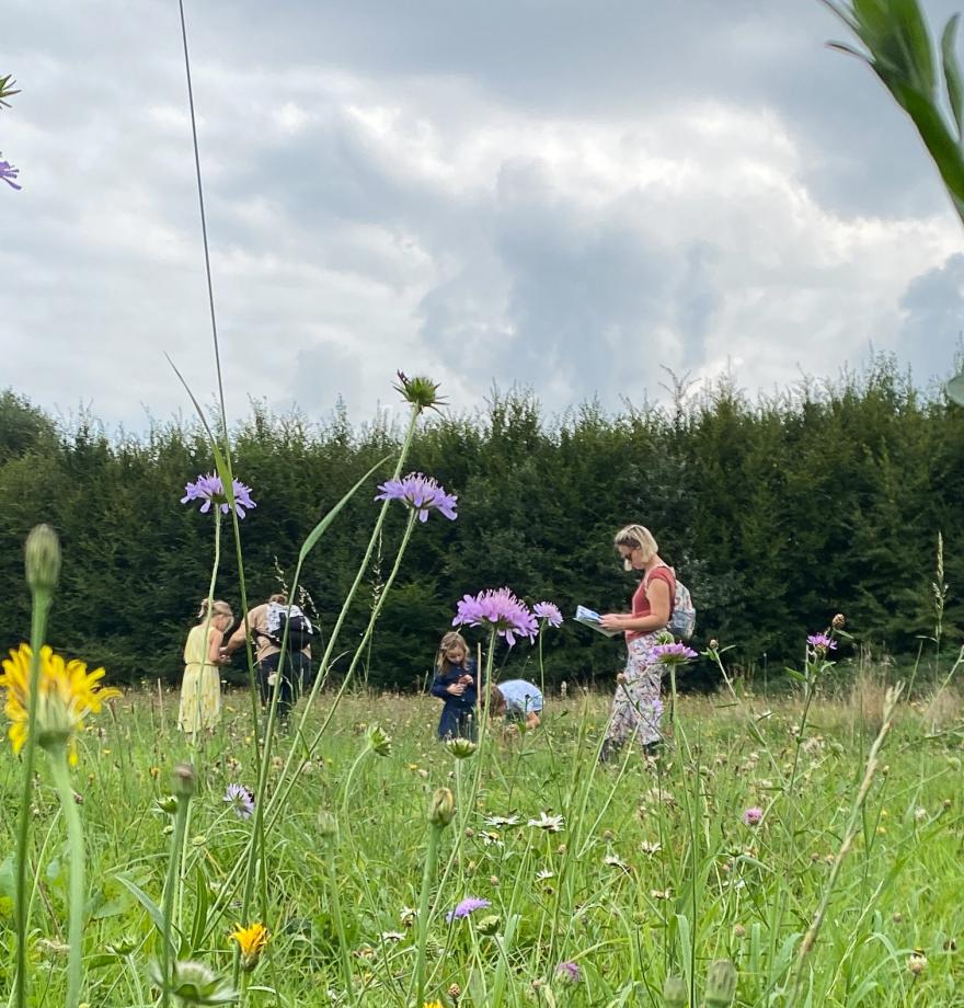 Flowerpower bloemenweide