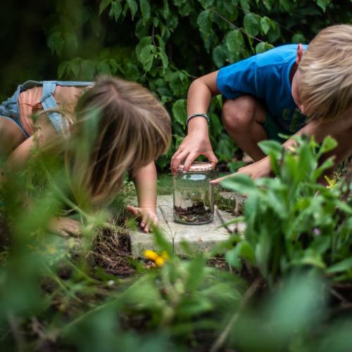 Twee kinderen bestuderen insecten in de tuin